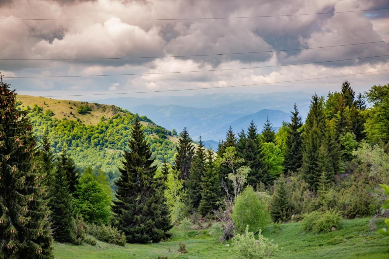 Apartments View Dvori E25 Kopaonik Bagian luar foto