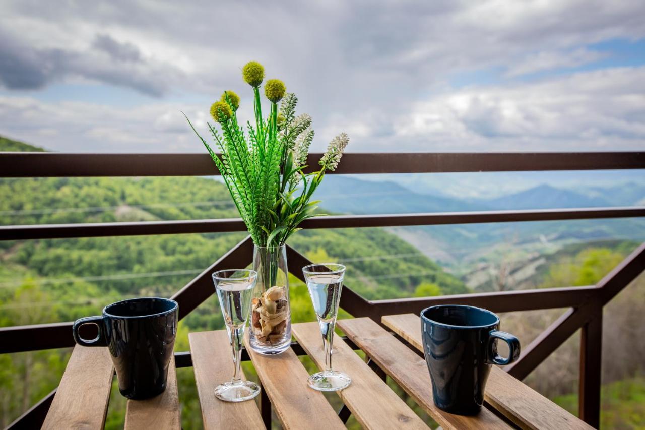 Apartments View Dvori E25 Kopaonik Bagian luar foto